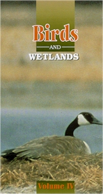 BIRD LIFE: Birds and Wetlands