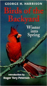 Birds of the Backyard Winter into Spring