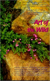 Art of the Wild