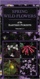 WILDFLOWERS: Wild Flowers of the Eastern Forests: Spring