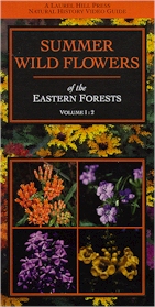 WILDFLOWERS: Wild Flowers of the Eastern Forests: Summer