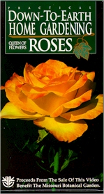 PRACTICAL DOWN TO EARTH HOME GARDENING: Roses, Queen of Flowers