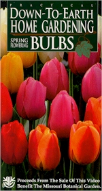 PRACTICAL DOWN TO EARTH HOME GARDENING: Spring Flowering Bulbs