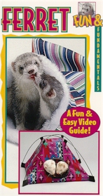 Ferret Fun & Fundamentals