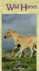 ESCAPE: Wild Horses